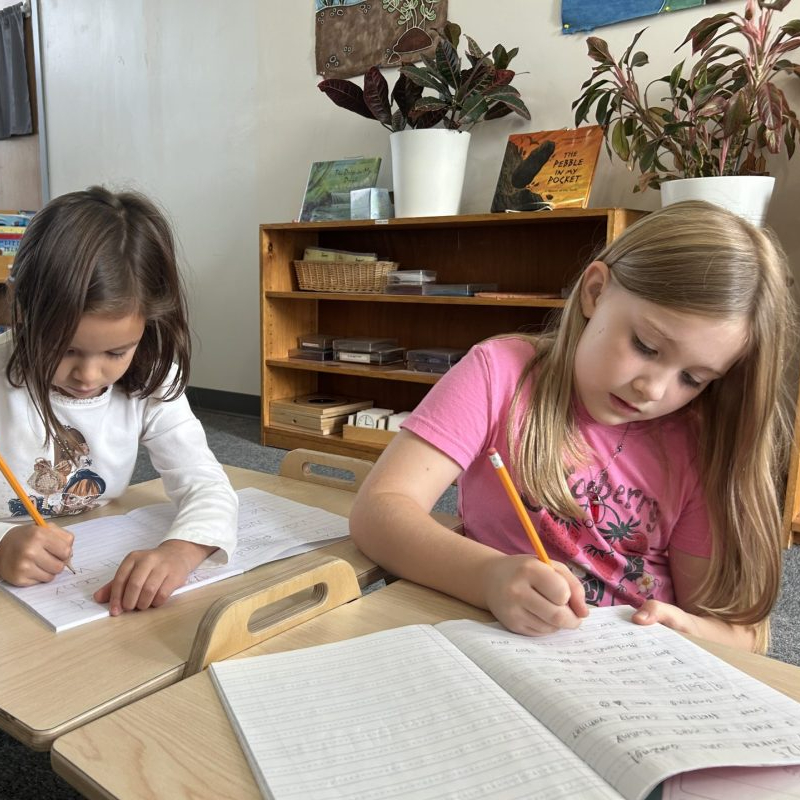 Fraser Woods Montessori Our Programs