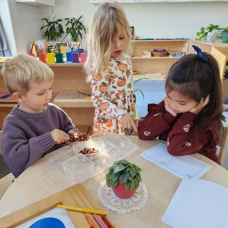 Fraser Woods Montessori Primary Ages 3 to 6 years